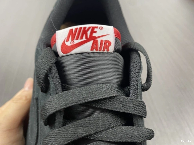 Rep TB SoleFly Carnivore Jordan Air x DN3400-001 1 Low 0709